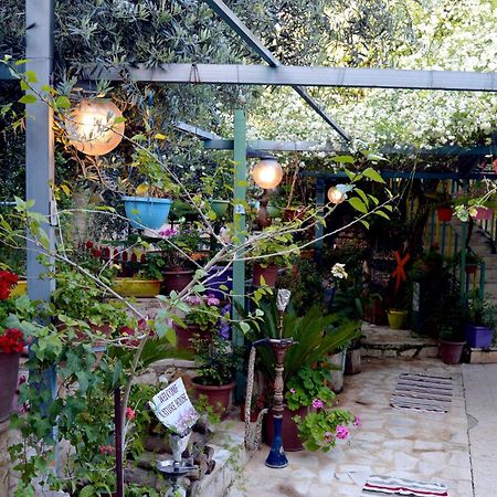 بيت الطبيعة Nature House 杰拉什 外观 照片